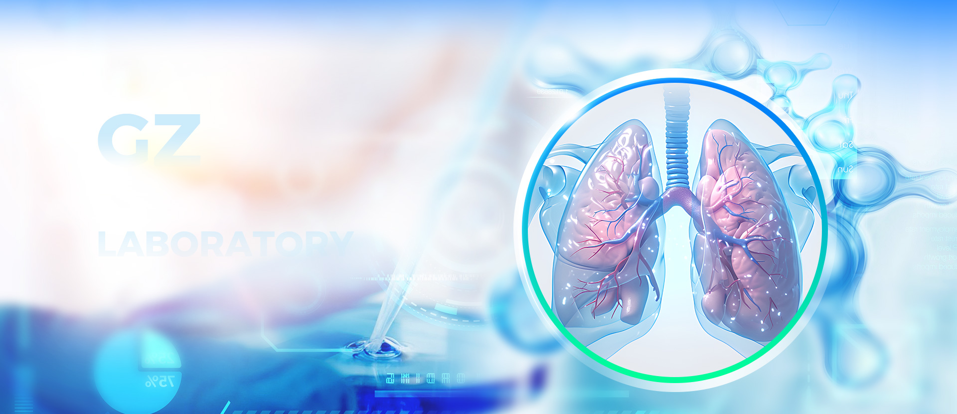 重大呼吸系统疾病与防控领域的<br>新型科研事业单位